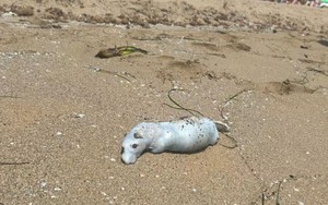 Trương Cáp dám khiêu chiến Trương Phi, Triệu Vân, nhưng gặp Ngụy Diên lại bỏ chạy: Lý do rất đơn giản - Ảnh 6.