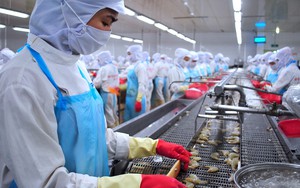 Siêu nhà máy đienẹ LNG 36.000 tỷ đầu tiên của Việt Nam đạt cột mốc vàng: Dòng điện tỷ đô sắp phục vụ chúng ta! - Ảnh 5.