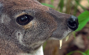 Chỉ 4 vị tướng Thục Hán được chính sử ca ngợi: Triệu Vân, Hoàng Trung và Ngụy Diên đều không có tên - Ảnh 7.