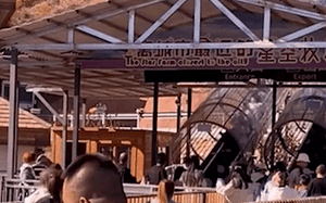 Bị phạt tù vì ăn cắp tiền điều trị ung thư cho con, người cha khóc ngất nghe tin con trai qua đời khi vẫn ngồi trong song sắt - Ảnh 4.