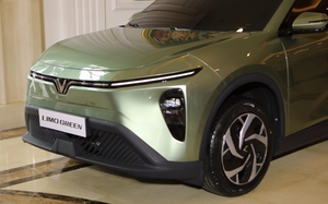 Không phải Bắc Mỹ hay châu Âu, vì sao VinFast 'xoay trục' về thị trường này, xây luôn 2 nhà máy xe? - Ảnh 6.