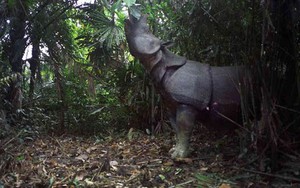 Chẳng trách Chu Bá Thông thuộc top 1 võ lâm: Nhờ người cha bí ẩn khiến Vương Trùng Dương cũng phải nể - Ảnh 6.