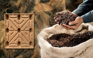 Chi 1.000 tỉ, thu về rác nhựa: Sự đánh đổi ‘quý hơn vàng’ cho sự bền vững của Việt Nam - Ảnh 1.