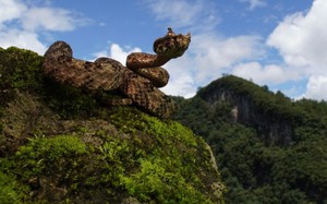 Phổ Nghi 9 tuổi vẫn còn thói quen kỳ quặc này khiến ai thấy cũng ái ngại: Cuối đời ông đã nói ra sự thật - Ảnh 5.