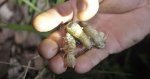 Giám đốc nhân sự ngoại tình với tỷ phú công nghệ là ai? - Ảnh 3.