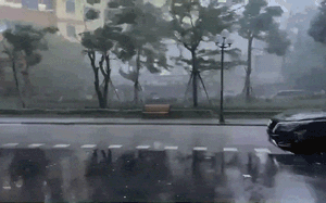 Điện mặt trời 'lên ngôi' ở châu Âu: Cung cấp đủ cho 340 triệu người - Ảnh 4.