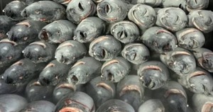 Đà Nẵng: Từ chối thanh toán chuyển khoản, nhân viên cây xăng bị công ty chấn chỉnh - Ảnh 3.