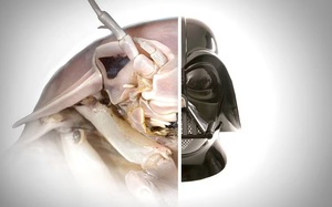 Phát hiện nhân tố có thể ảnh hưởng tới tương lai của con trai sắp vào lớp 1, bà mẹ "ra tay" ngay khiến ai cũng trầm trồ - Ảnh 4.