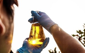 Bước ngoặt tỷ đô: Một doanh nghiệp Việt chạm tay vào "trái tim" ngành ô tô Nhật - Ảnh 6.