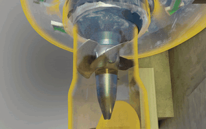 Binturong: Sinh vật bí ẩn được 'lai tạo' giữa gấu và mèo với hương thơm bỏng ngô đặc trưng giữa rừng già - Ảnh 10.