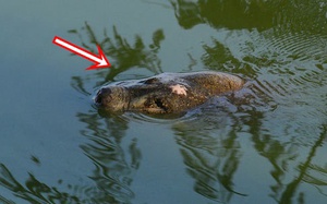 Nhan sắc thật của Hằng Nga được phục dựng nhờ AI, cả châu Á chỉ có duy nhất 1 người đúng chuẩn “xé cổ tích bước ra” - Ảnh 8.