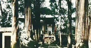 Triệu Vân và Hứa Chử đều được biết đến là mãnh tướng hộ chủ cho Lưu Bị và Tào Tháo: Ai là người mạnh hơn? - Ảnh 6.