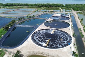 Dự án nhà ở bỏ hoang 17 năm trên 'đất vàng' TPHCM chính thức bị thu hồi - Ảnh 12.