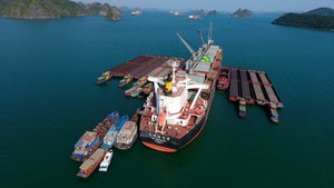 Hơn 3,6 triệu người dân ở Bắc Ninh đón tin vui - Ảnh 4.