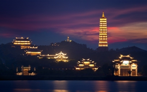 Loài chưa từng xuất hiện ngoài Việt Nam: Một cuộc phục hồi kỳ diệu đã diễn ra, hiện chỉ còn 200 cá thể - Ảnh 6.