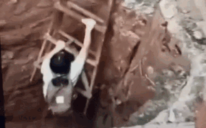 Sư phụ của Hoàng Dược Sư là Đoàn Dự hay Hư Trúc: 3 chi tiết trong nguyên tác hé lộ câu trả lời - Ảnh 5.