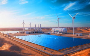 "Sức mạnh ngầm" từ 750g Khoai Lang Thang cầm trên tay: Mục tiêu tối thượng của công ty 292 tỷ USD - Ảnh 5.