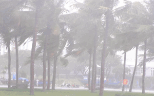 Xu hướng giao thông xanh: Khi xe hybrid ngày càng được chú ý tại Việt Nam - Ảnh 10.