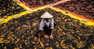 Không có đơn hàng, người đàn ông vẫn chuyển khoản 89 triệu đồng cho shipper: Công an vào cuộc điều tra ngay khi giao dịch thành công - Ảnh 3.