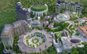 Lợi nhuận sau thuế Viettel Global vượt 3.200 tỷ đồng 6 tháng đầu năm - Ảnh 5.