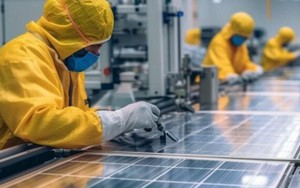 Vùng đất ven biển gây sốc với tuổi thọ vượt chuẩn toàn cầu - Ảnh 2.