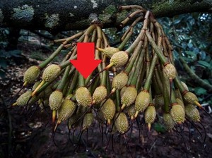 Mỹ tăng mạnh đưa mặt hàng ít quen thuộc này vào Việt Nam: Nhập khẩu đột biến gần 700%, đạt kỷ lục trong hơn 5 năm qua - Ảnh 3.