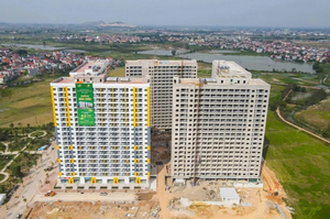 Giá gạo Việt Nam biến động lạ sau lệnh ngưng nhập khẩu của Philippines - Ảnh 4.