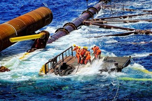 Việt Nam dẫn đầu toàn cầu về một chỉ tiêu quan trọng, là gì vậy? - Ảnh 6.