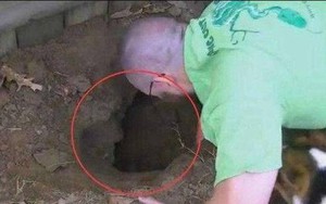 Quan Vũ bị giết, Gia Cát Lượng lạnh lùng nói 11 chữ gì khiến Lưu Bị lập tức hạ lệnh giết chết con trai? - Ảnh 6.