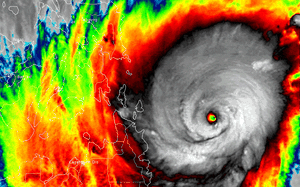 Khoảng 16.500 ca tử vong do nắng nóng ở châu Âu - Ảnh 1.