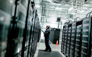 Việt Nam hiện xếp thứ 4 trong số các quốc gia xuất khẩu dừa tại khu vực châu Á - Thái Bình Dương; và thứ 5 trên toàn thế giới. - Ảnh 5.