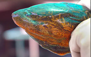 Hư Trúc bị giết nhưng Đoàn Dự chỉ một mực im lặng không báo thù: Hãy xem kẻ giết anh ta là ai - Ảnh 6.