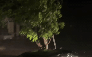 Tâm bão số 10 Bualoi đã vào miền Trung, gió giật dữ dội, hàng loạt cây xanh ngã đổ, nhà tốc mái