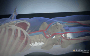 Vùng đất ven biển gây sốc với tuổi thọ vượt chuẩn toàn cầu - Ảnh 7.