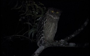 Kim Luân Pháp Vương bại dưới tay Dương Quá: Thực lực sánh ngang Ngũ tuyệt nhưng thua đau vì vấn đề này - Ảnh 6.