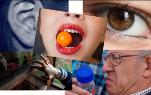 Thục H&aacute;n diệt vong: V&igrave; sao cả nh&agrave; Trương Phi kh&ocirc;ng ai d&aacute;m động tới, c&ograve;n gia tộc Quan Vũ lại bị giết sạch? - Ảnh 4.