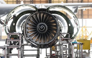 C&aacute; mập v&agrave;ng rực ngo&agrave;i khơi Costa Rica khiến giới khoa học kinh ngạc về đột biến sắc tố hiếm gặp - Ảnh 3.