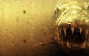 Từ 12/1, 3 con gi&aacute;p n&agrave;y tr&uacute;ng lộc thần t&agrave;i, tiền bạc đổ về như th&aacute;c, vận may tr&agrave;n ngập khắp nơi - Ảnh 4.