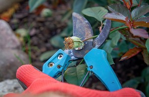 Đừng bao giờ d&ugrave;ng giấm trắng để vệ sinh 5 thứ n&agrave;y trong nh&agrave;: Hại nhiều hơn lợi! - Ảnh 2.