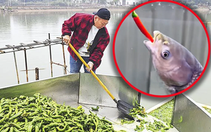 Quốc gia sản xuất chiếc b&uacute;t bi đầu ti&ecirc;n tr&ecirc;n thế giới - Ảnh 4.