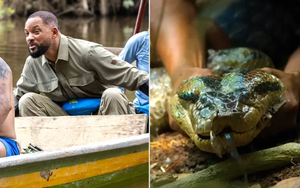 Tử vi tuần mới (19/1 - 25/1): 3 con gi&aacute;p c&oacute; cuộc sống vi&ecirc;n m&atilde;n nhất, l&agrave;m g&igrave; cũng thuận - Ảnh 4.