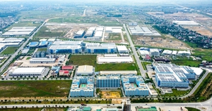 CEO SN1993 của c&ocirc;ng ty h&agrave;ng kh&ocirc;ng mới vốn 10 tỷ đồng ở Long Th&agrave;nh: N&oacute;i &ldquo;cổ đ&ocirc;ng l&agrave;ng x&atilde;&rdquo; l&agrave; thiếu ch&iacute;nh x&aacute;c - Ảnh 4.