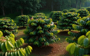 Thị trường xe điện to&agrave;n cầu lập kỷ lục mới bất chấp biến động ch&iacute;nh s&aacute;ch - Ảnh 3.