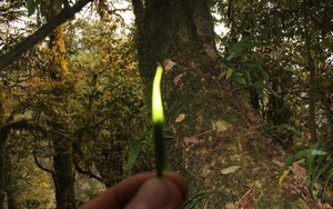 Cụ &ocirc;ng sống một m&igrave;nh mua 900 g&oacute;i muối trong 3 th&aacute;ng, cảnh s&aacute;t ph&aacute; cửa x&ocirc;ng v&agrave;o th&igrave; gặp cảnh sững người - Ảnh 2.