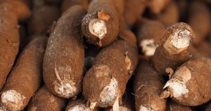 Được rao b&aacute;n 1,7 tỷ USD, s&acirc;n bay lớn thứ 2 của Nga ế nặng, phải b&aacute;n với gi&aacute; &lsquo;rẻ b&egrave;o&rsquo; - Ảnh 3.