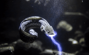 Ph&aacute;t minh như khoa học viễn tưởng g&acirc;y chấn động ng&agrave;nh năng lượng: Biến kh&ocirc;ng kh&iacute; th&agrave;nh xăng xe, th&agrave;nh &lsquo;1 mũi t&ecirc;n tr&uacute;ng 2 đ&iacute;ch&rsquo; nan giải của thế giới - Ảnh 3.