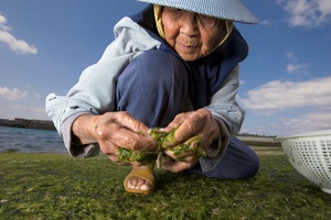 Kh&ocirc;ng phải chạy bộ hay bơi lội, đ&acirc;y mới l&agrave; b&agrave;i tập tốt nhất để sống thọ tới 100 tuổi - Ảnh 4.