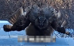 Vị tướng "được trời ưu &aacute;i" nhất Thục H&aacute;n: Quan Vũ, Lưu Bị cưng chiều, 80 tuổi được Lưu Thiện cử ra trận - Ảnh 5.