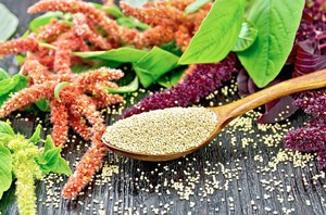 Tôi Không Ngờ: Ăn Món Rẻ Tiền Này Mỗi Ngày, Đờm Trong Phổi Được 