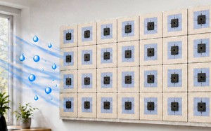 'Si&ecirc;u chất &ocirc; nhiễm' ozone: Mối đe dọa nguy hiểm sau c&aacute;c nắng n&oacute;ng ở ch&acirc;u &Acirc;u - Ảnh 5.
